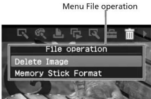 SONY DDP-FP60BT - Druk op ◀/▷ om File operation) te selecteren en druk op ENTER. - 1