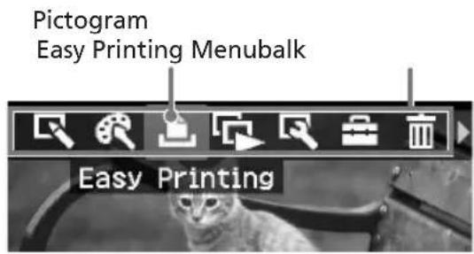 Pictogram Easy Printing Menubalk Easy Printing