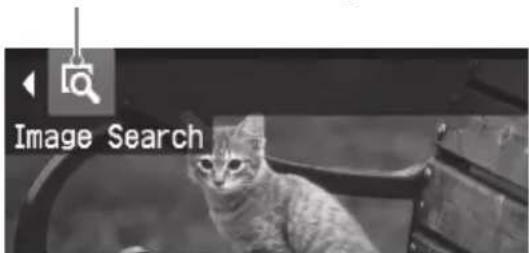 Image Search