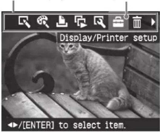 SONY DDP-FP60BT - De printervoorkeuren wijzigen (Display/Printer setup) - 2