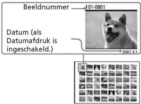 Beeldnummer 101-0001 Datum (als Datumafdruk is ingeschakeld.) 2007.4.1