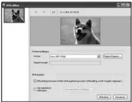 Afla:ubken File No. 101 13-1-2004 29:18:00 Prefermatikungen Printer: Sony SFP FIPS2 Paperformat: Affidobtive □ Afla:ubken in caseen to date afalgabind gouldin (Afla:ubken rodt mogelb algolapt.) □ Cymemodats oftrukten Dewertende ostruktur: Affidulien Anularen
