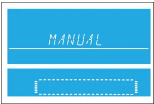 MANUAL