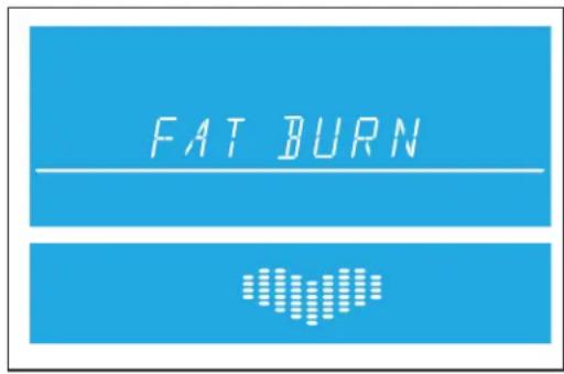 FAT BURN