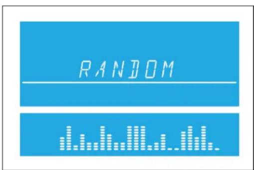 RANDOM