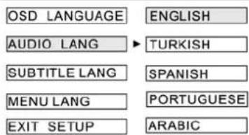 OSD LANGUAGE AUDIO LANG SUBTITLE LANG MENU LANG EXIT SETUP ENGLISH TURKISH SPANISH PORTUGUESE ARABIC
