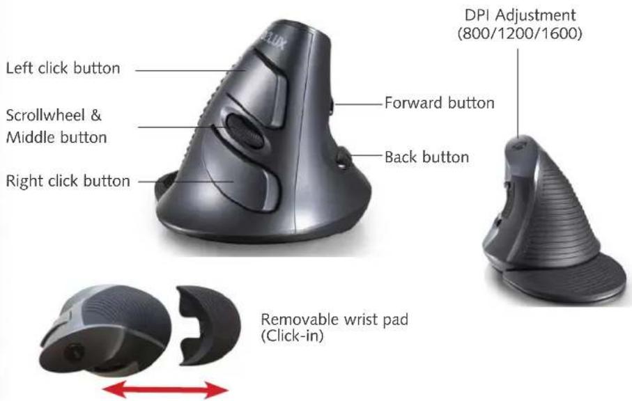 DPI Adjustment (800/1200/1600) Left click button Forward button Scrollwheel & Middle button Back button Right click button Removable wrist pad (Click-in)