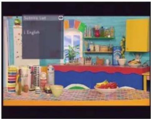 EMTEC Movie Cube V850H - Subtitle List Menu - 1