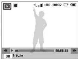 100-0002 OK Pauze