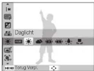 Daglicht Torug Vorpl.