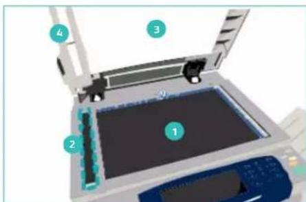 XEROX WorkCentre 5745V_FRN - Glasplaat en CVT-glasstrook (Constant Velocity Transport) - 1