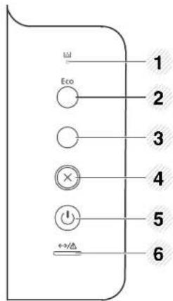 1 Eco 2 3 4 5 6