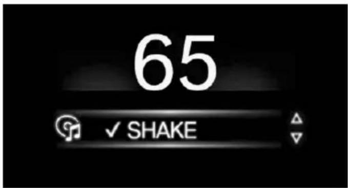 65 ✓ SHAKE