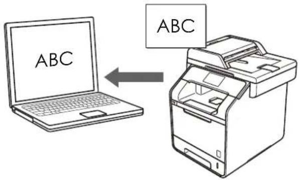 ABC ABC