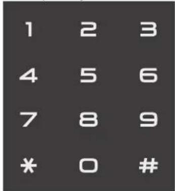 1 2 3 4 5 6 7 8 9 * 0 #