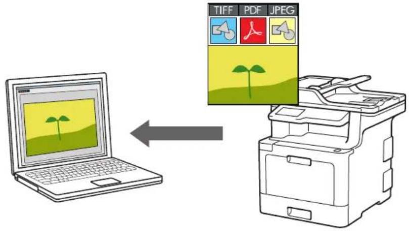 BROTHER MFC-L9570CDWTSP - Foto's en afbeeldingen scannen - 1