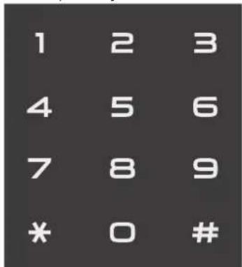 1 2 3 4 5 6 7 8 9 * 0 #