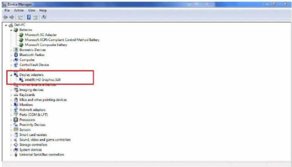 DELL Vostro 3576 - De beeldschermadapter identificeren - 1
