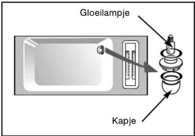 Gloeilampje Kapje