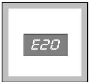 E20