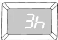 3h