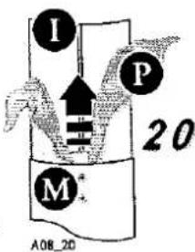 I P 20 M* A08_20