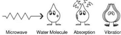 Microwave Water Molecule Absorption Vibration