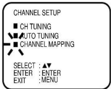CHANNEL SETUP ■ CH TUNING ■ AUTO TUNING ■ CHANNEL MAPPING SELECT : ▲▼ ENTER : ENTER EXIT : MENU