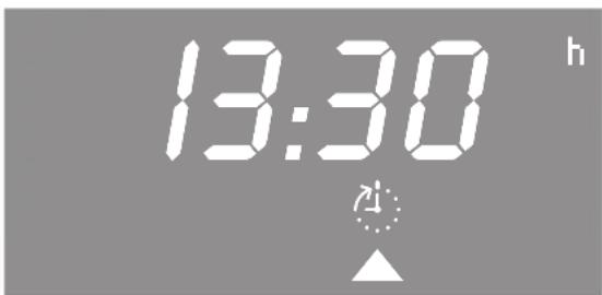 13:30 h 24