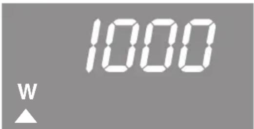 1000 W