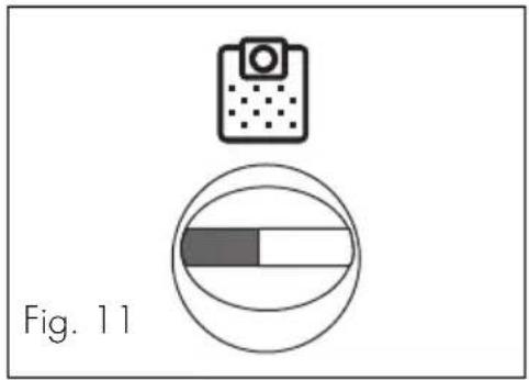 Fig. 11