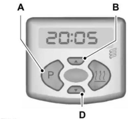 Pelgrim KK 7174 - LET OP - 1