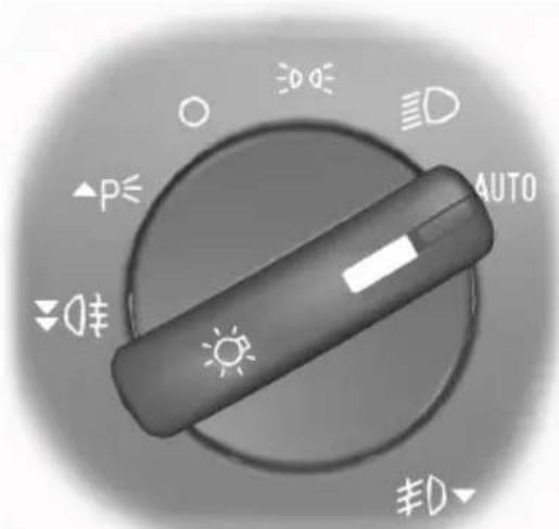 Pelgrim KK 7174 - DAGRIJLICHT - 1