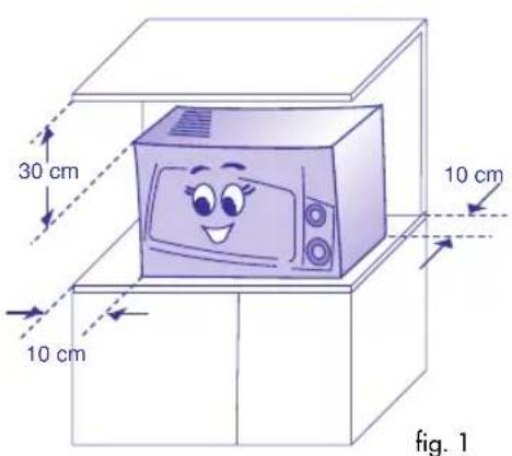 30 cm 10 cm 10 cm fig. 1