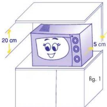 20 cm 5 cm fig. 1