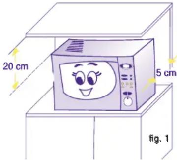 20 cm 5 cm fig. 1