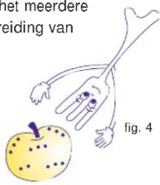 net meerdere eiding van fig. 4