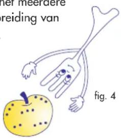 der meerdere reiding van fig. 4