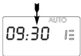 AUTO 09:30