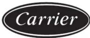 CARRIER Holiday Young 51AKE - Luchtkwaliteitfilter (indien aanwezig) - 21