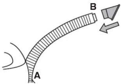 A B