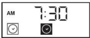 AM 7:30