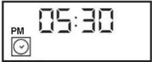 PM 05:30