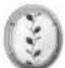 BROTHER Innov-is 1e - Opmerking - 1