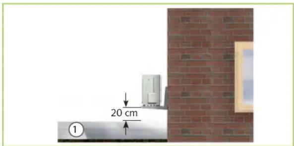 20 cm ①