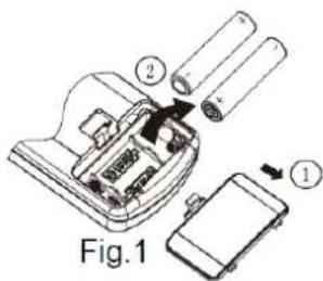 Fig.1