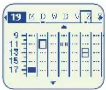 19 M D W D V Z 7 9 11 13 15 17