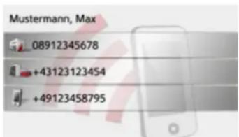 Mustermann, Max 08912345678 +43123123454 +49123458795