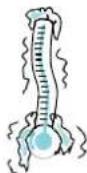 BAUKNECHT EMCCD 6244 INOX - RAPID DEFROST (SNEL ONTDOOIEN) - 3