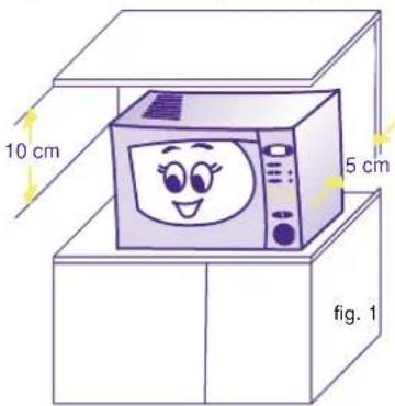 10 cm 5 cm fig. 1